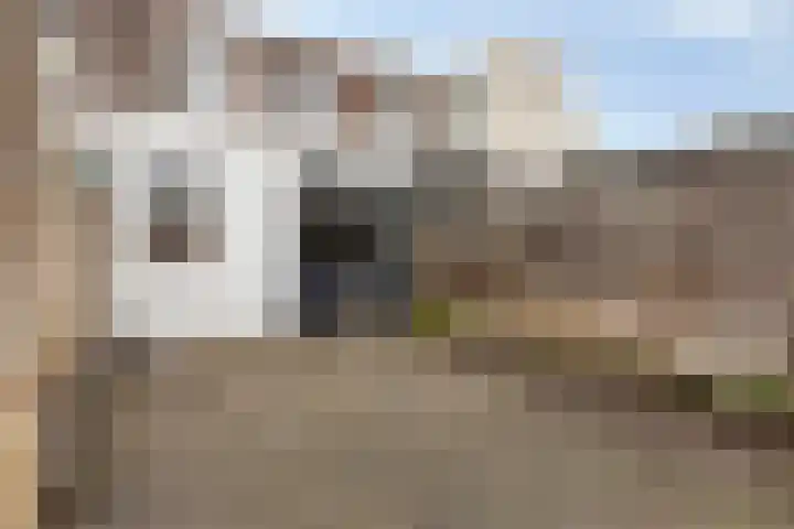 Bosweg 16 Gouda thumbnail 5