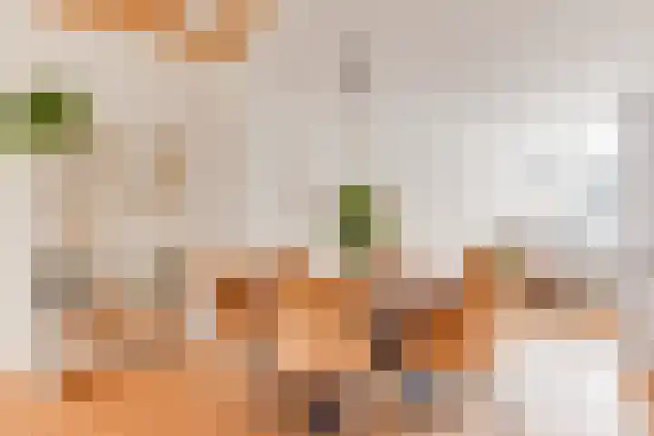 Bosweg 16 Heerhugowaard thumbnail 12