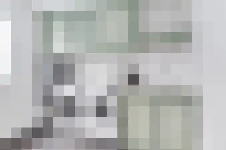 Bosweg 16 Heerhugowaard thumbnail 16