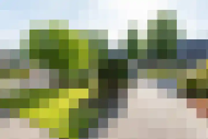 Bosweg 16 Heerhugowaard thumbnail 40
