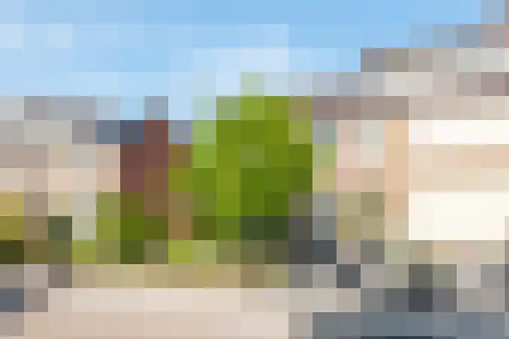 Bosweg 16 Heerhugowaard thumbnail 41