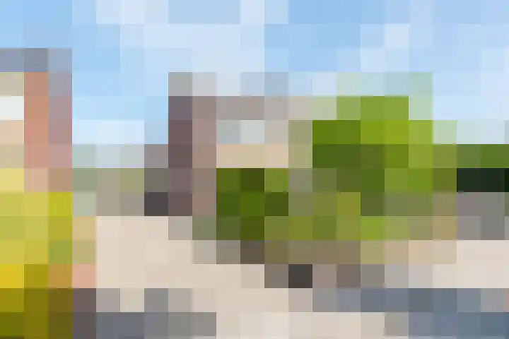 Bosweg 16 Heerhugowaard thumbnail 42