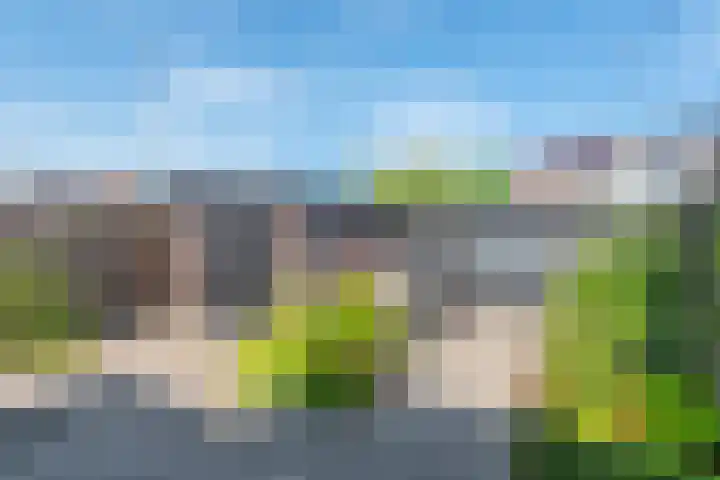Bosweg 16 Heerhugowaard thumbnail 6