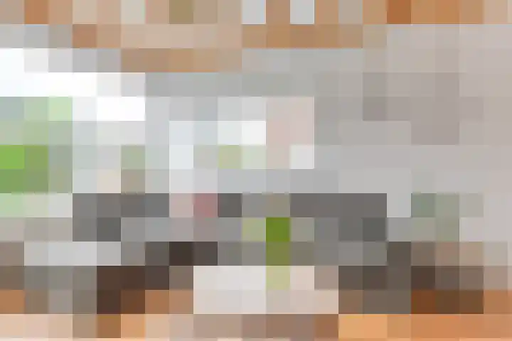 Bosweg 16 Heerhugowaard thumbnail 9