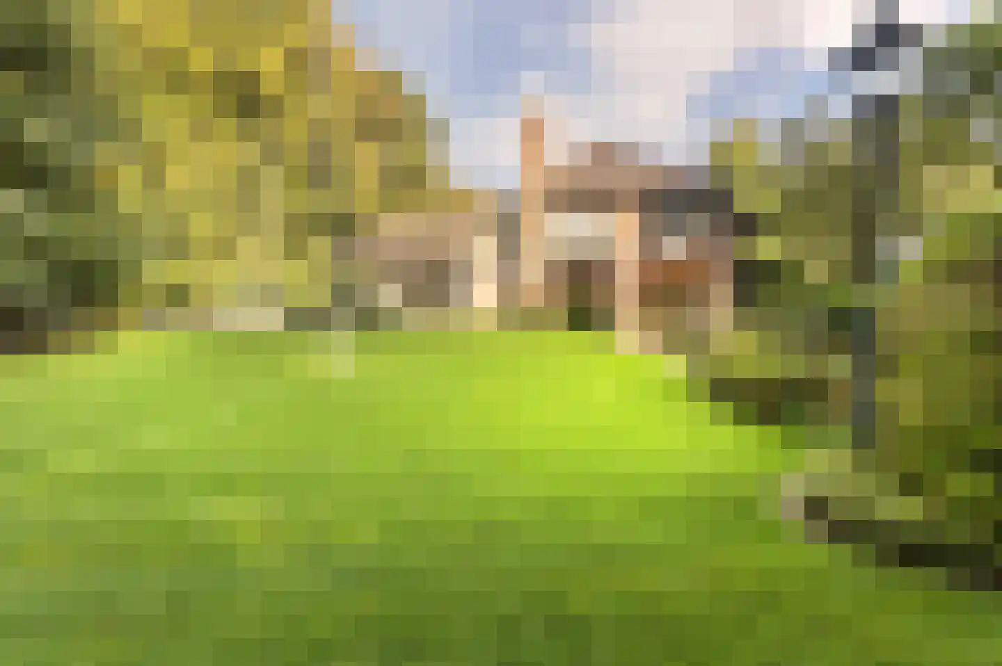 Bosweg 17 Berg en Dal