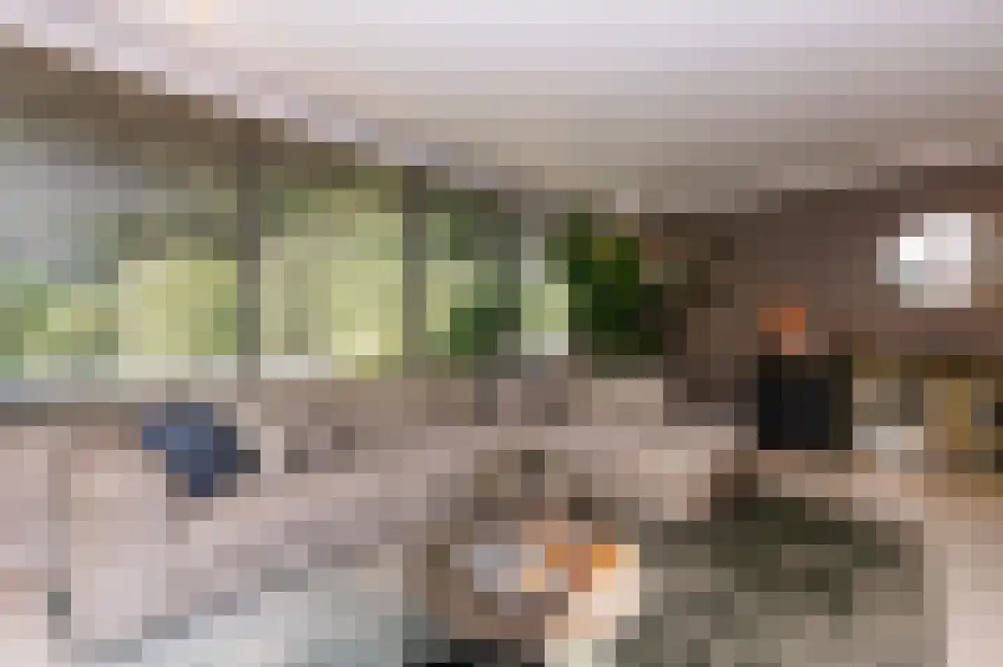 Bosweg 17 Berg en Dal thumbnail 12