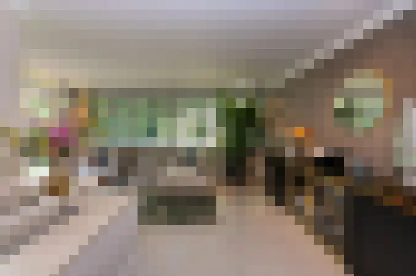 Bosweg 17 Berg en Dal thumbnail 14