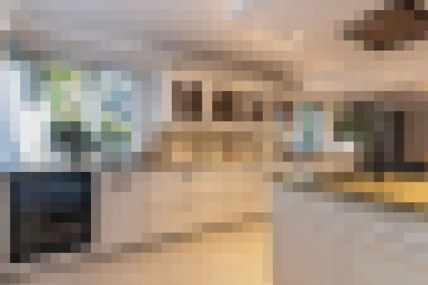 Bosweg 17 Berg en Dal thumbnail 17