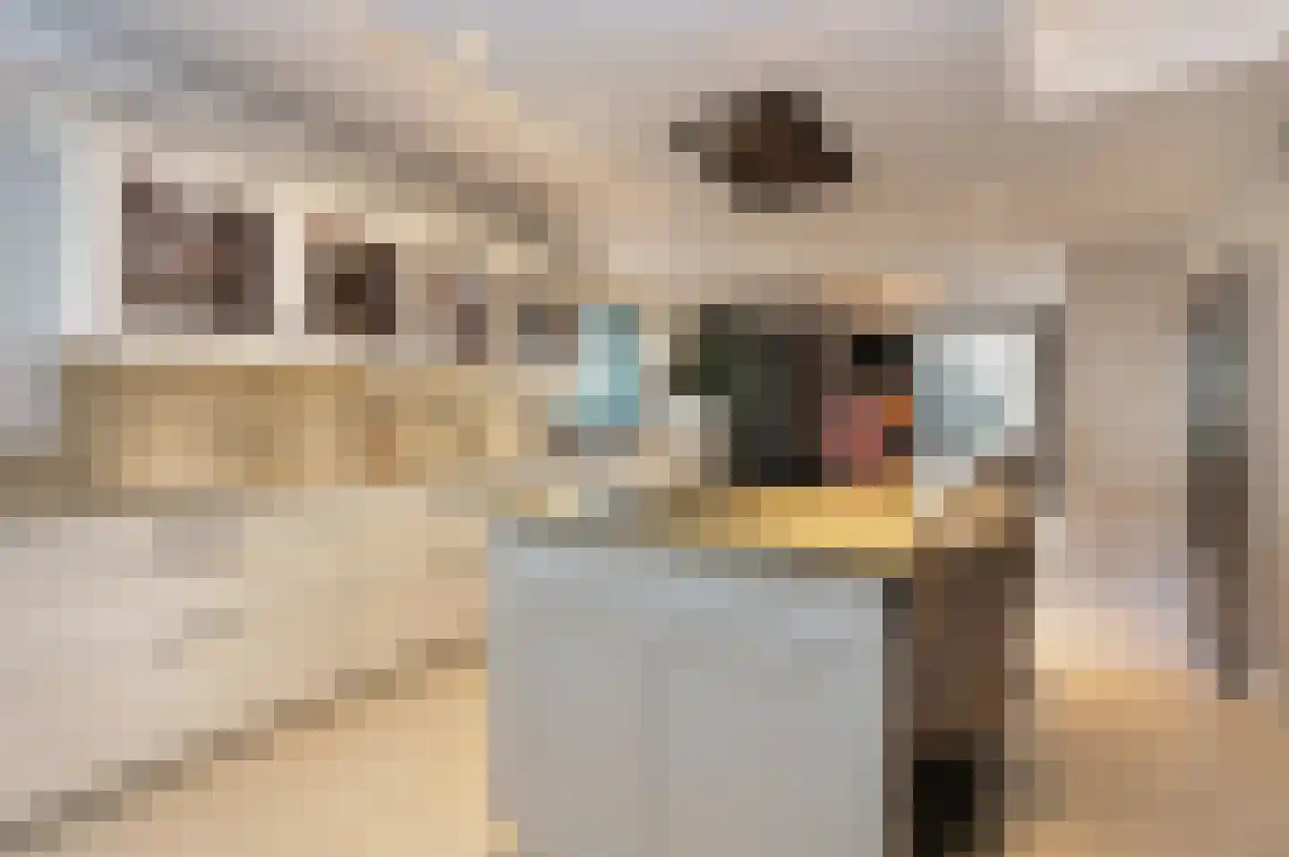 Bosweg 17 Berg en Dal thumbnail 18