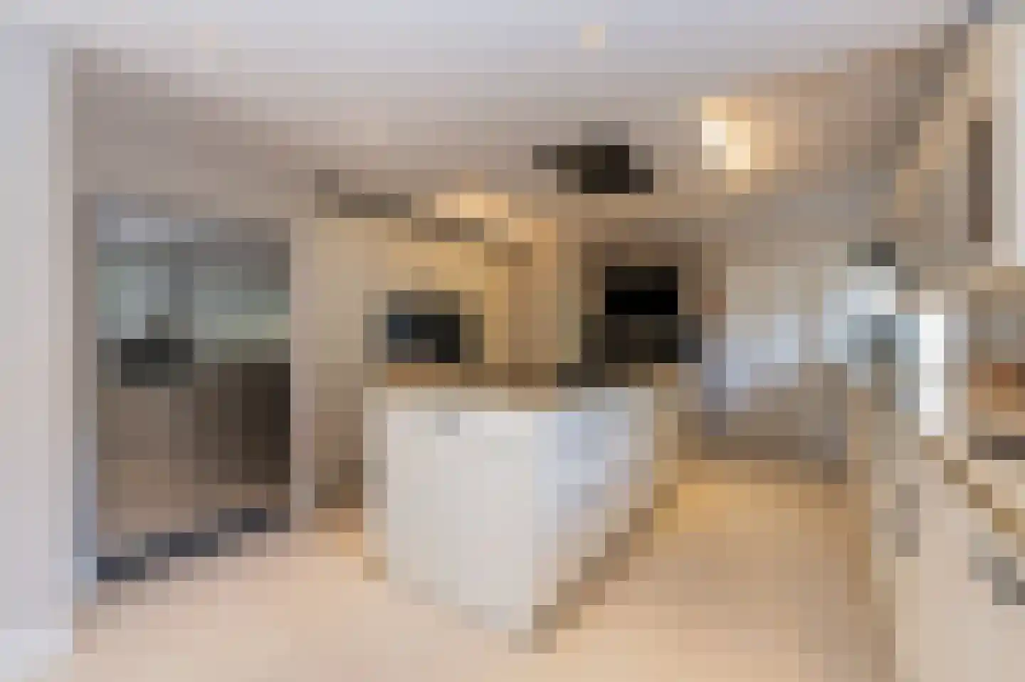 Bosweg 17 Berg en Dal thumbnail 19