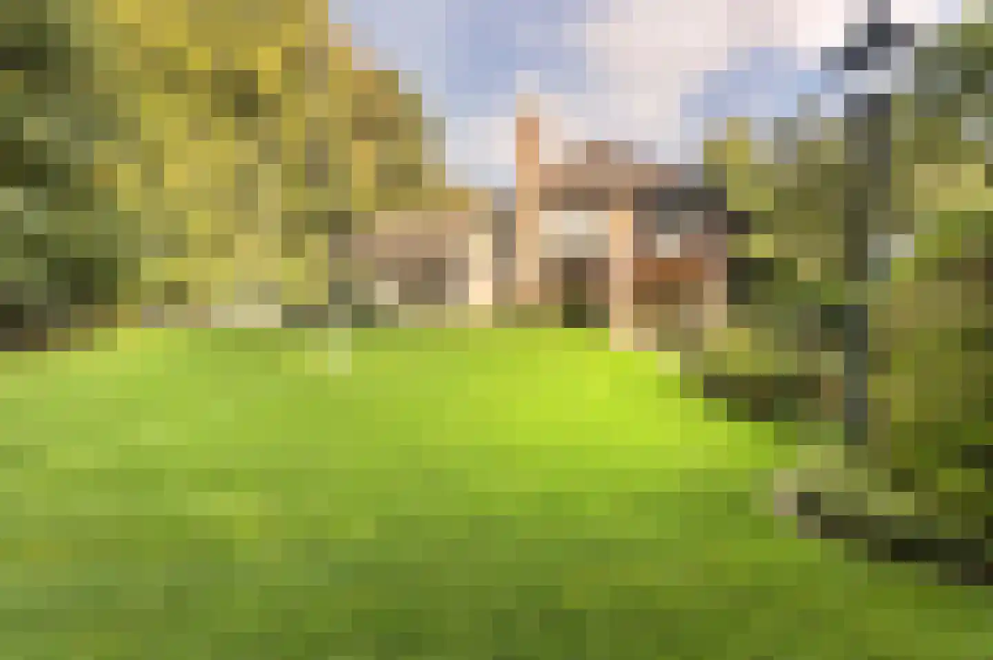 Bosweg 17 Berg en Dal foto 2