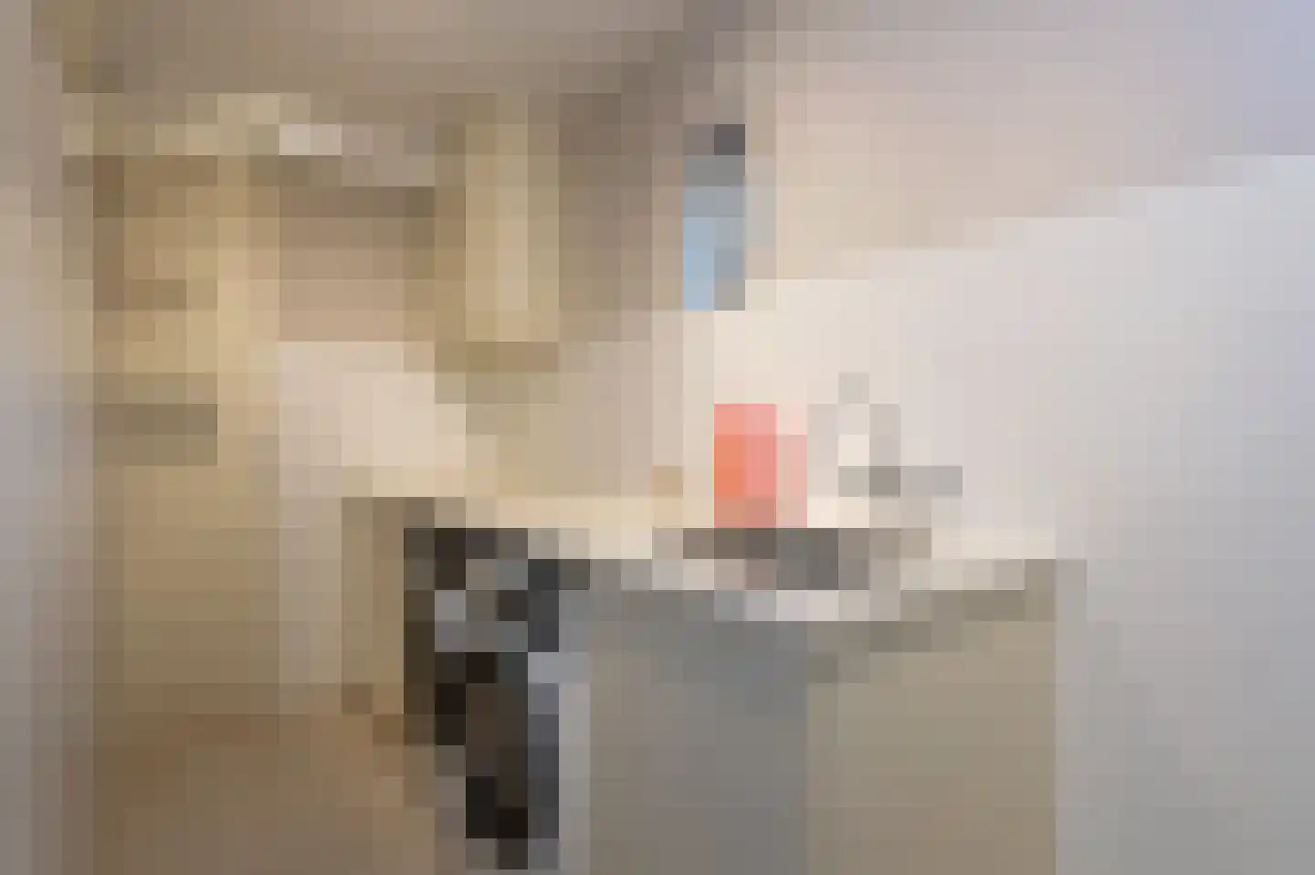 Bosweg 17 Berg en Dal thumbnail 21