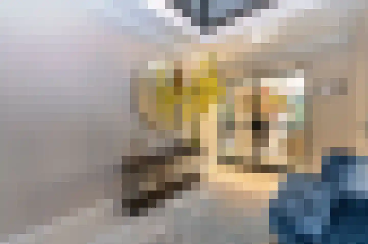 Bosweg 17 Berg en Dal thumbnail 22