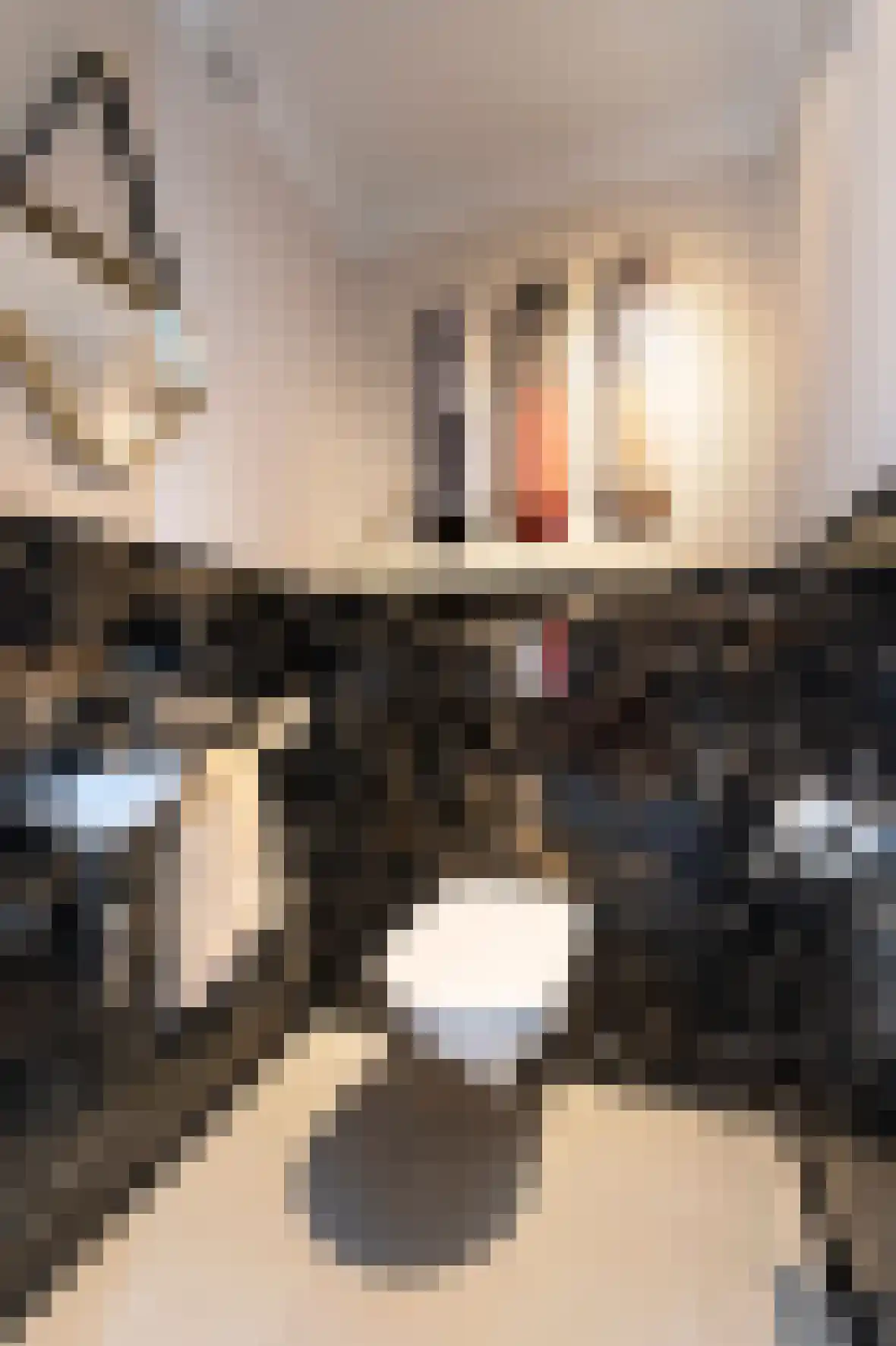 Bosweg 17 Berg en Dal thumbnail 26