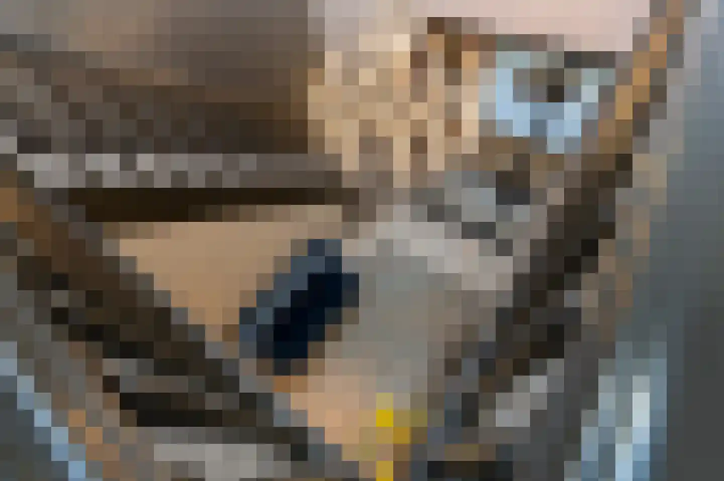 Bosweg 17 Berg en Dal thumbnail 27