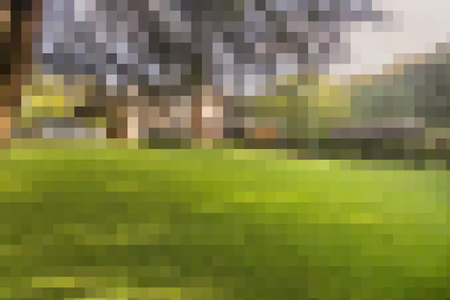Bosweg 17 Berg en Dal foto 3