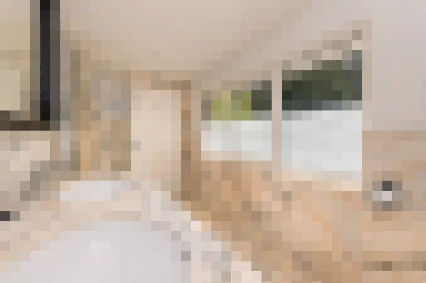 Bosweg 17 Berg en Dal thumbnail 38