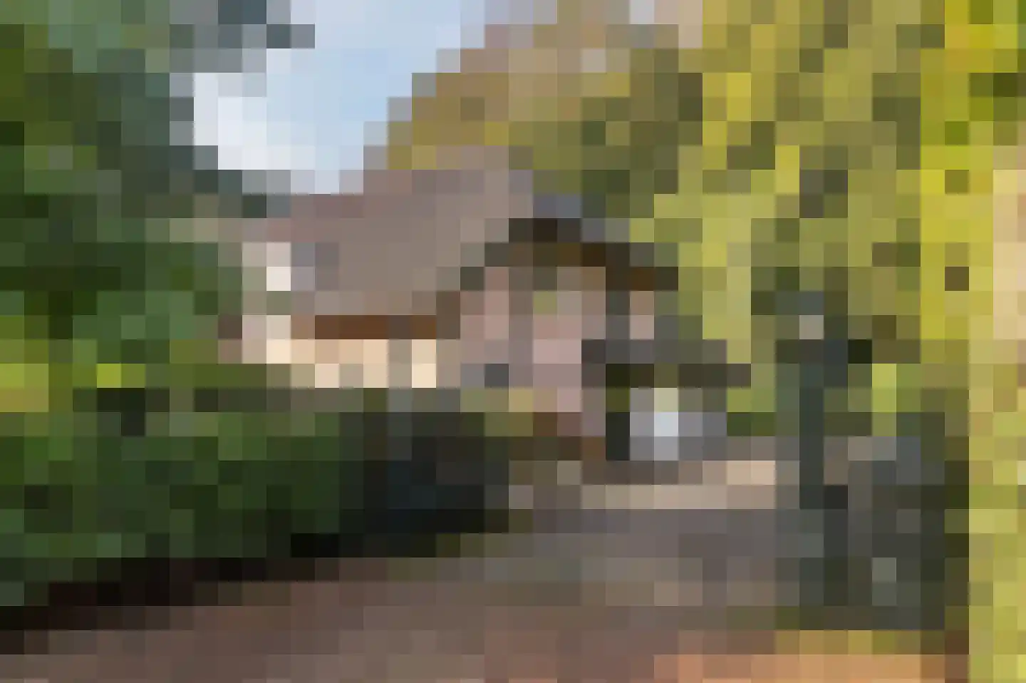 Bosweg 17 Berg en Dal thumbnail 4