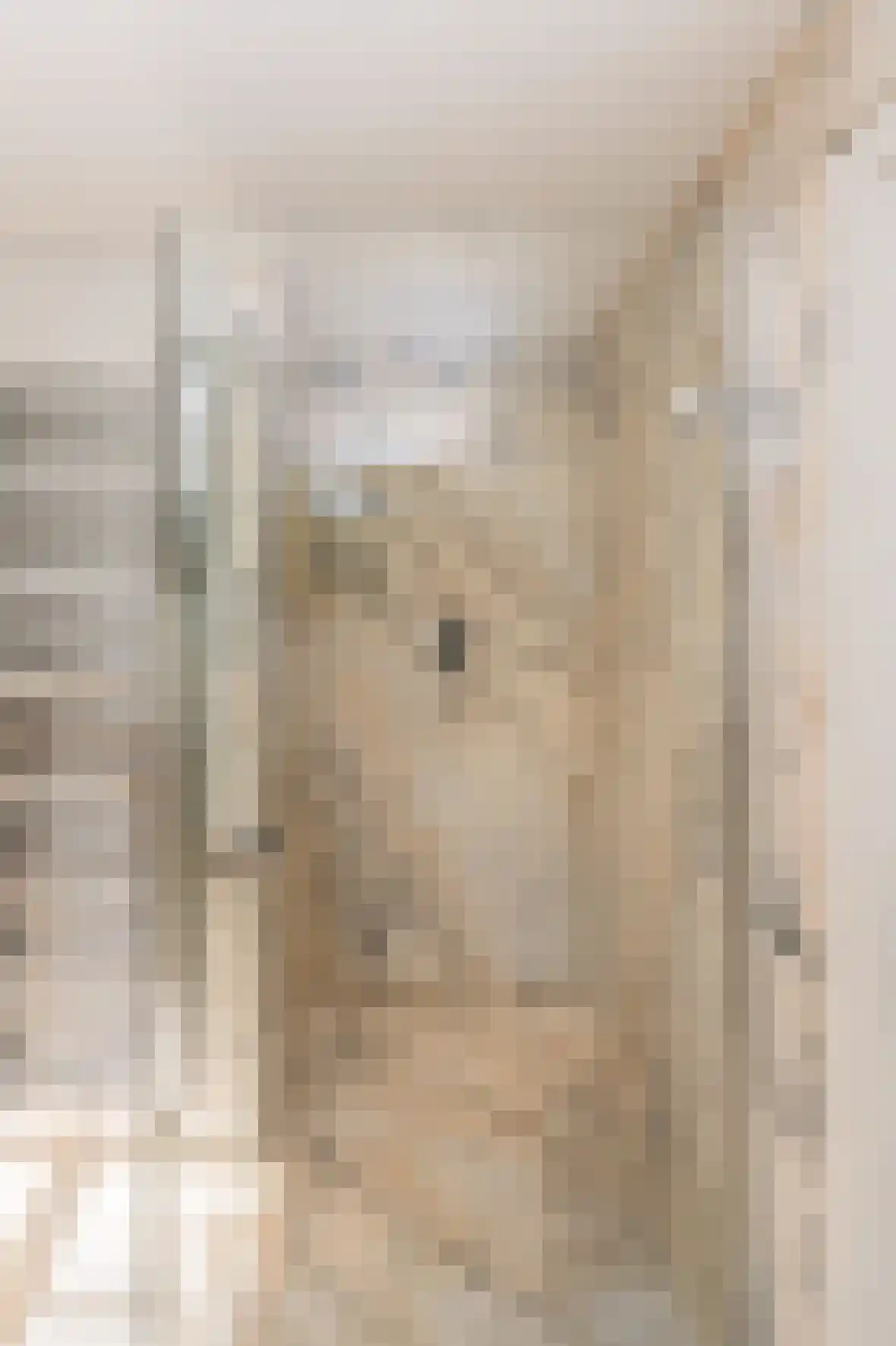 Bosweg 17 Berg en Dal thumbnail 40