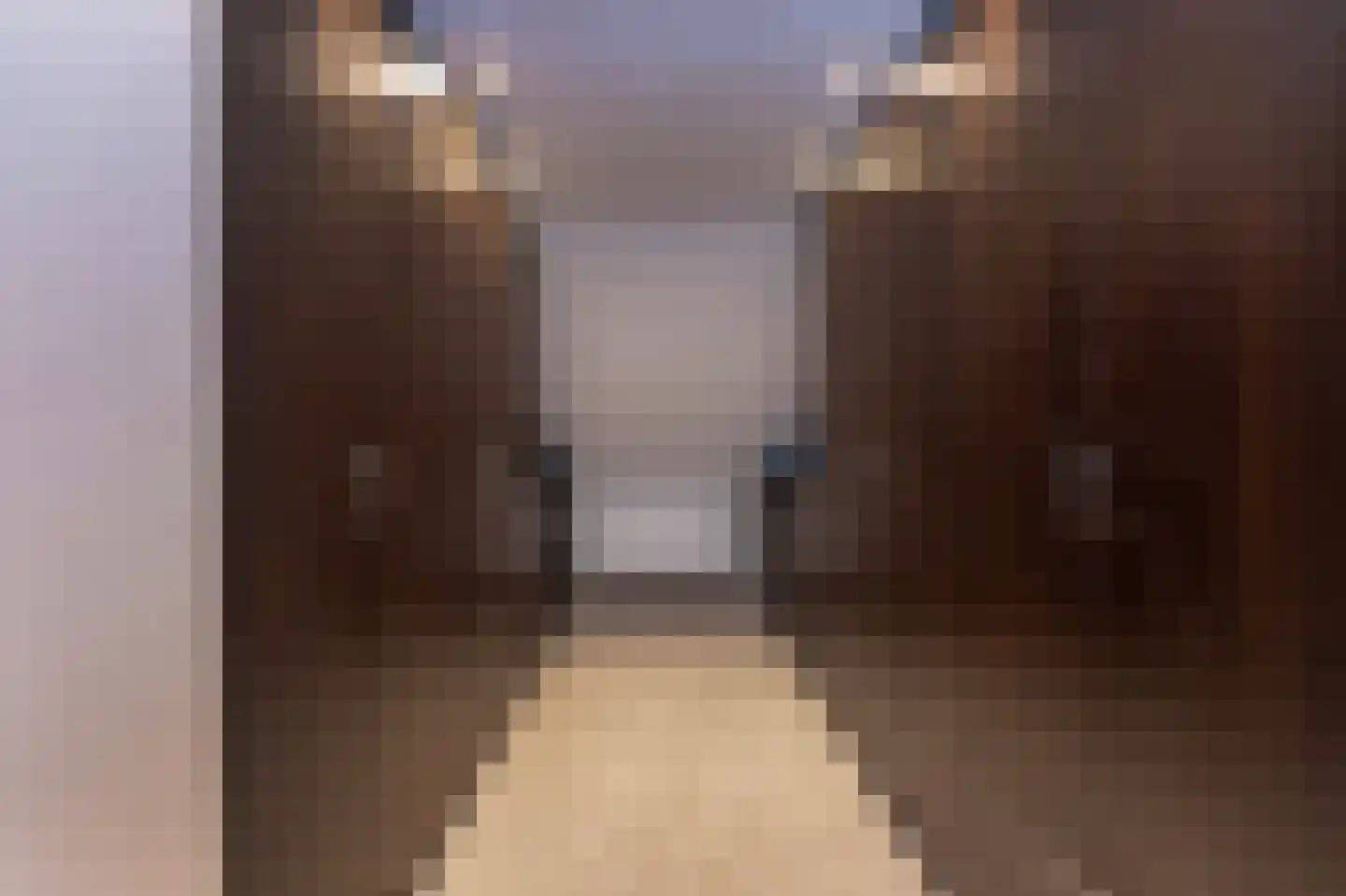 Bosweg 17 Berg en Dal thumbnail 42