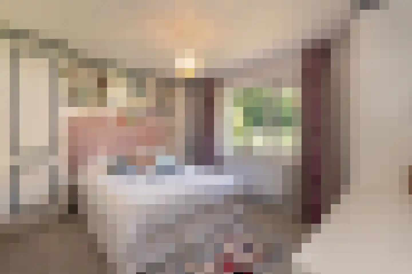 Bosweg 17 Berg en Dal thumbnail 43