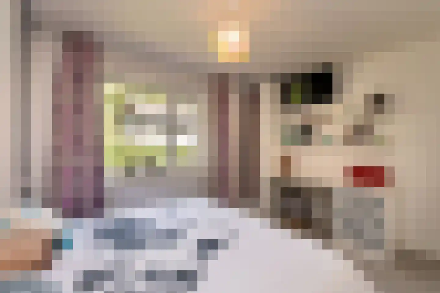 Bosweg 17 Berg en Dal thumbnail 44