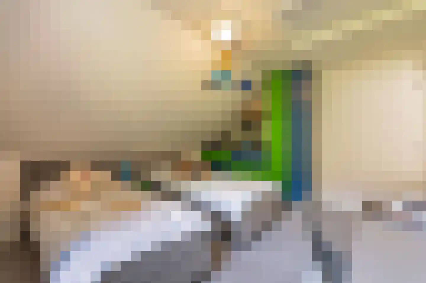 Bosweg 17 Berg en Dal thumbnail 46