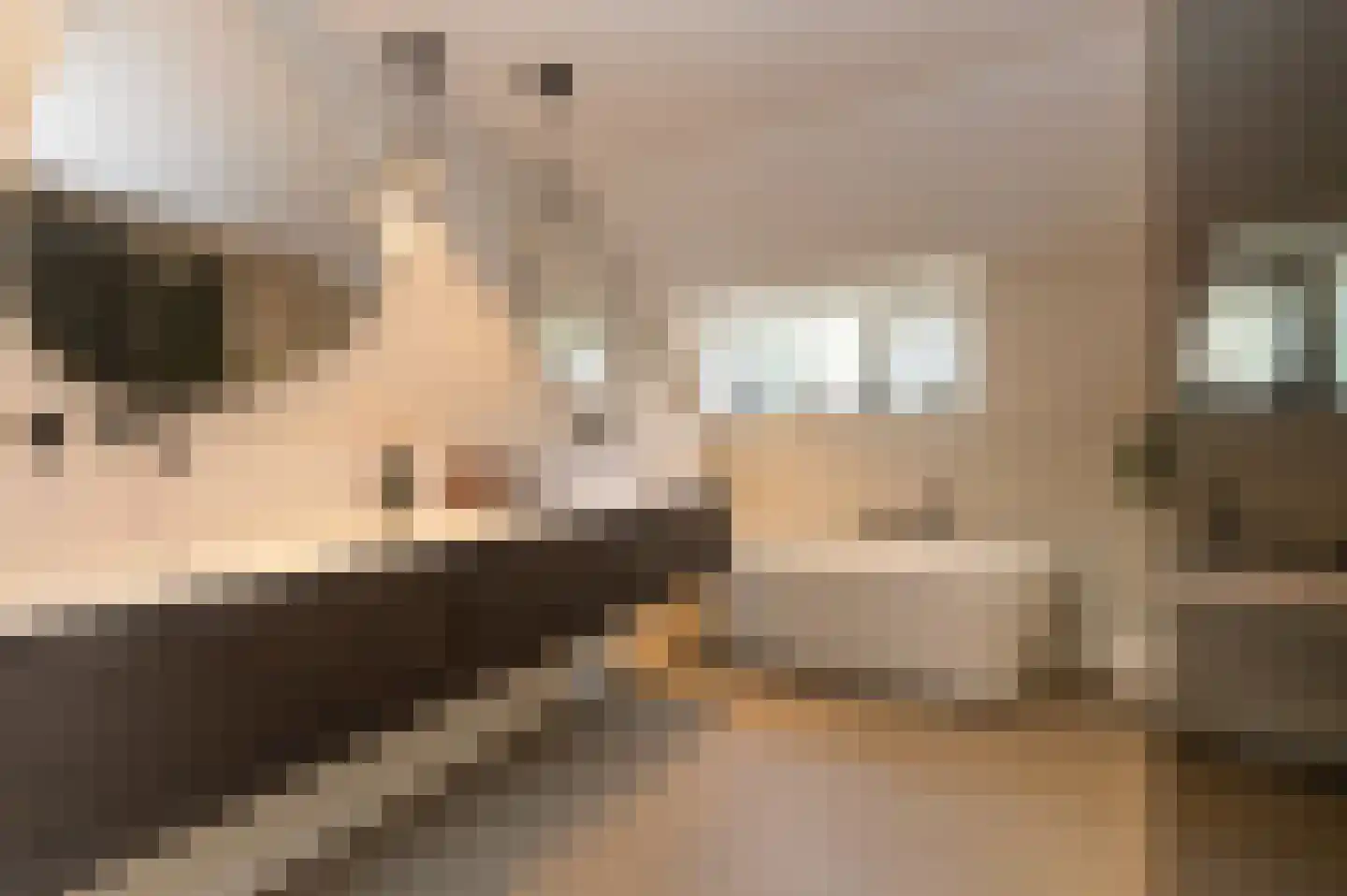 Bosweg 17 Berg en Dal thumbnail 47