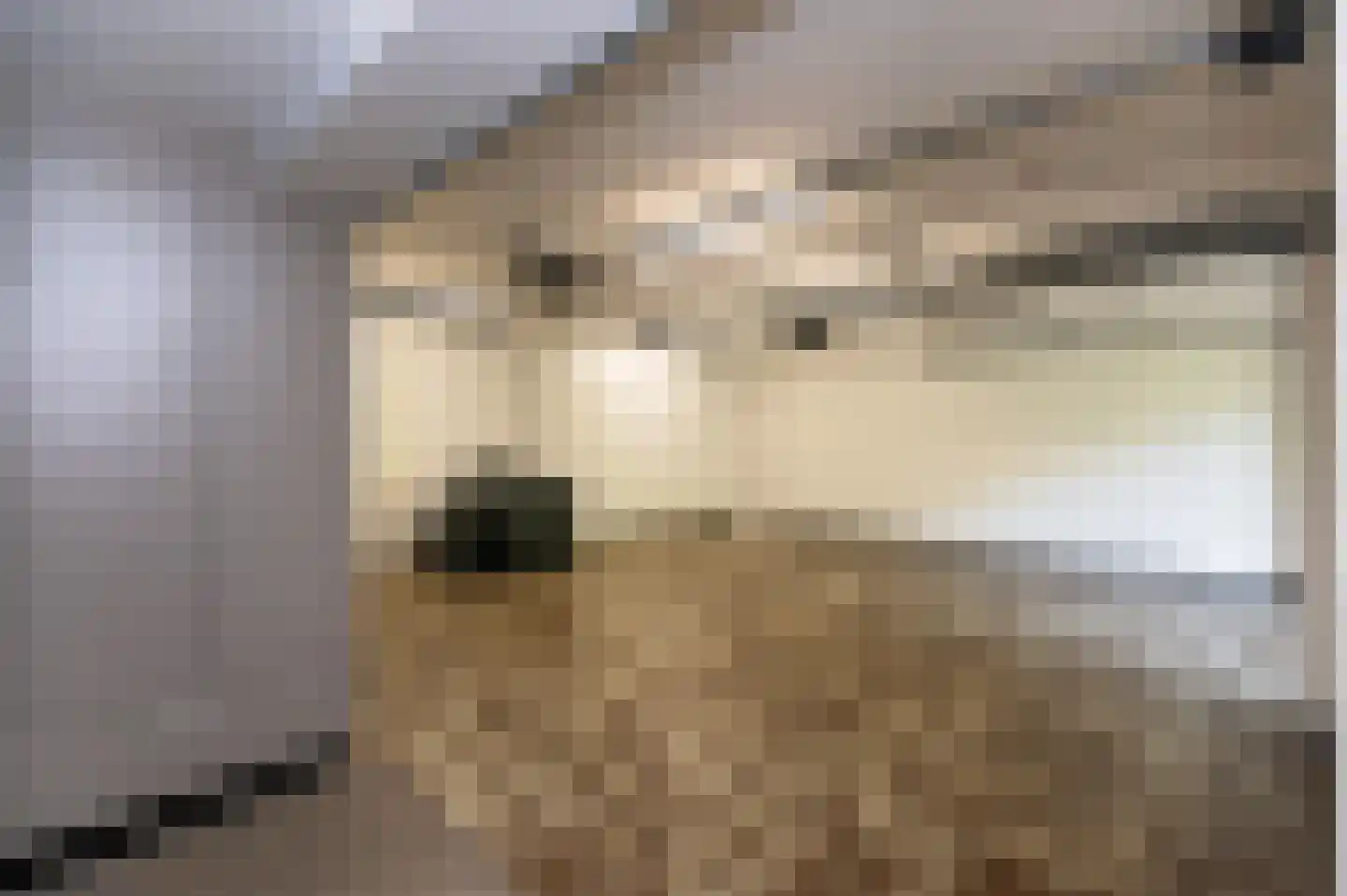 Bosweg 17 Berg en Dal thumbnail 55
