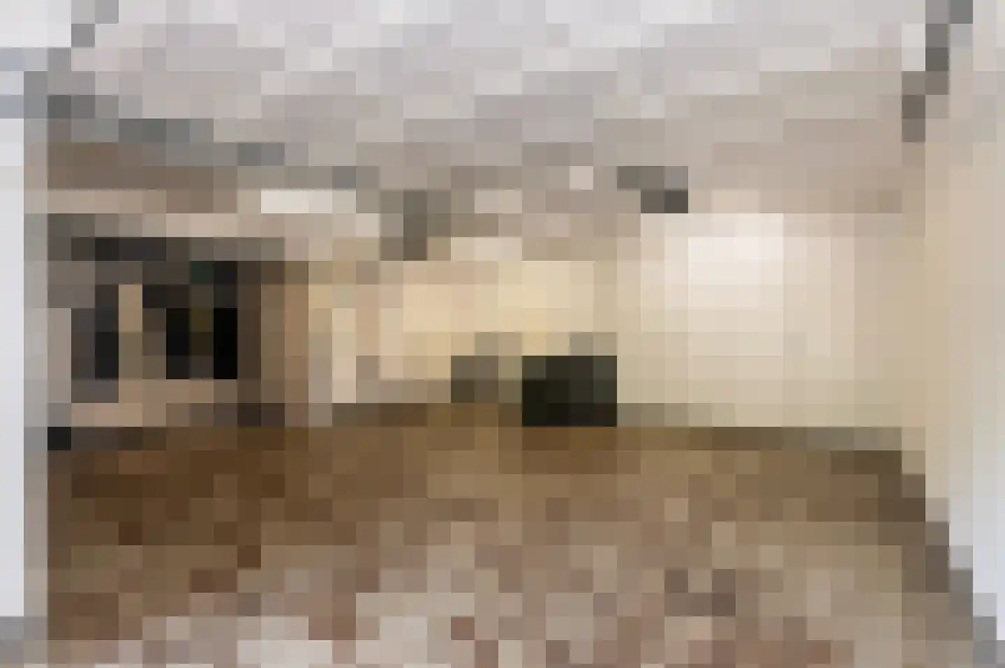 Bosweg 17 Berg en Dal thumbnail 56