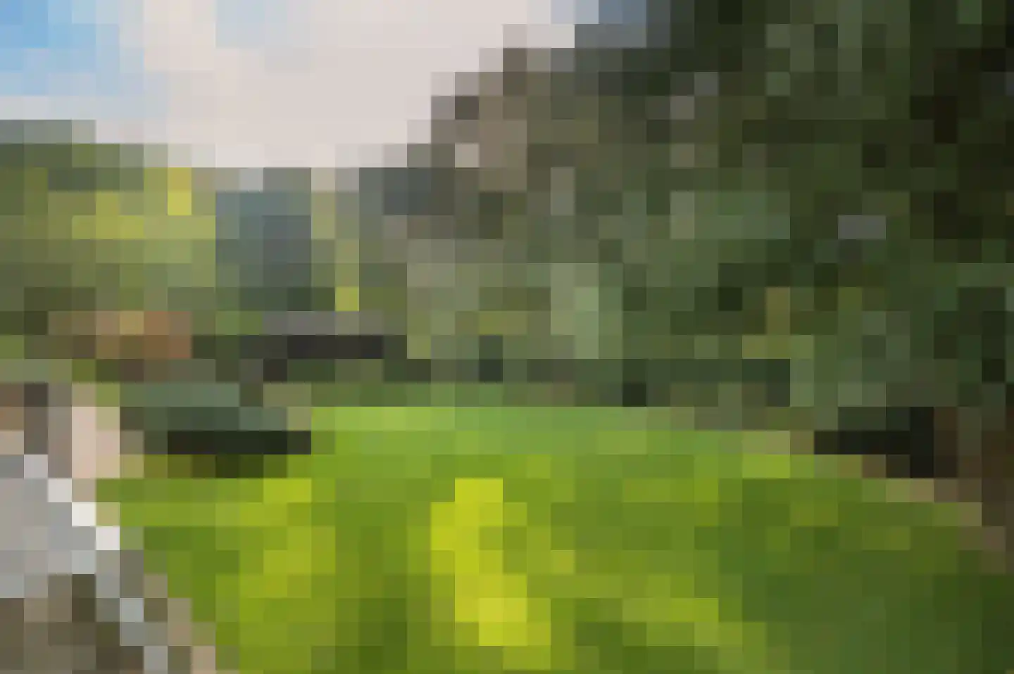 Bosweg 17 Berg en Dal thumbnail 57