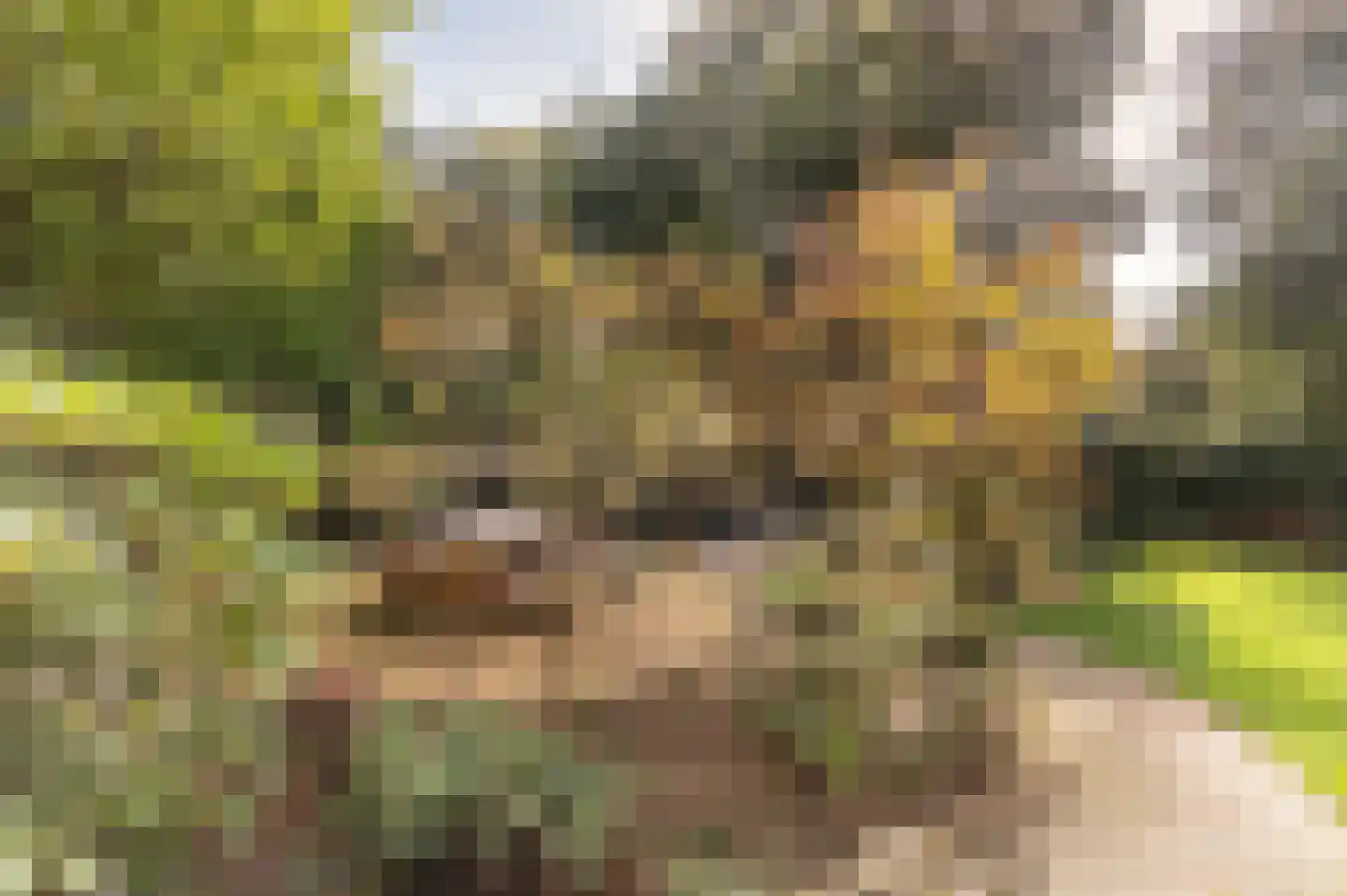 Bosweg 17 Berg en Dal thumbnail 60