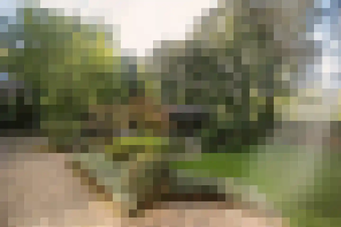 Bosweg 17 Berg en Dal thumbnail 61