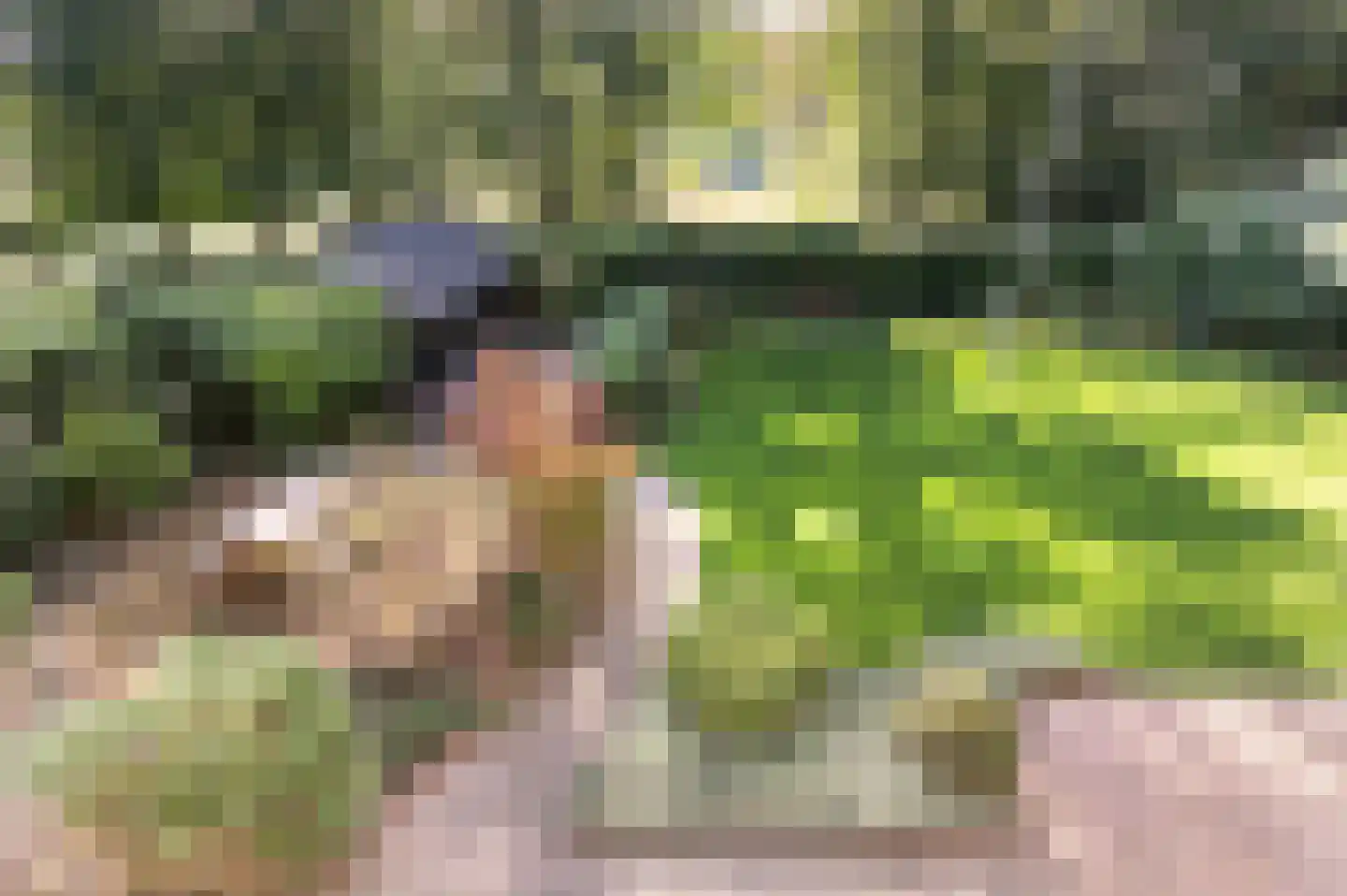 Bosweg 17 Berg en Dal thumbnail 62