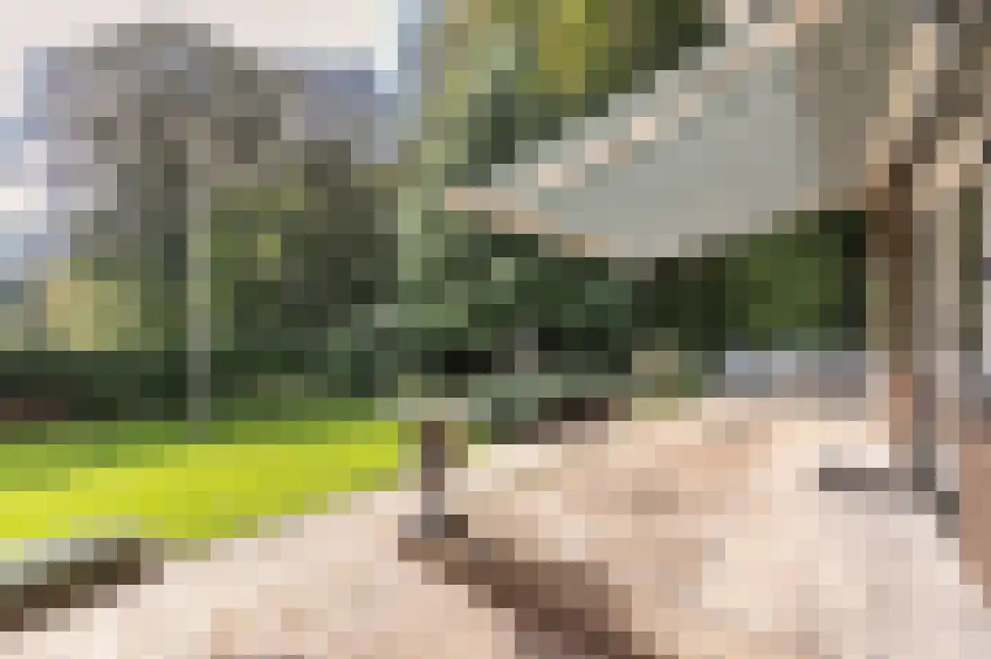 Bosweg 17 Berg en Dal thumbnail 63