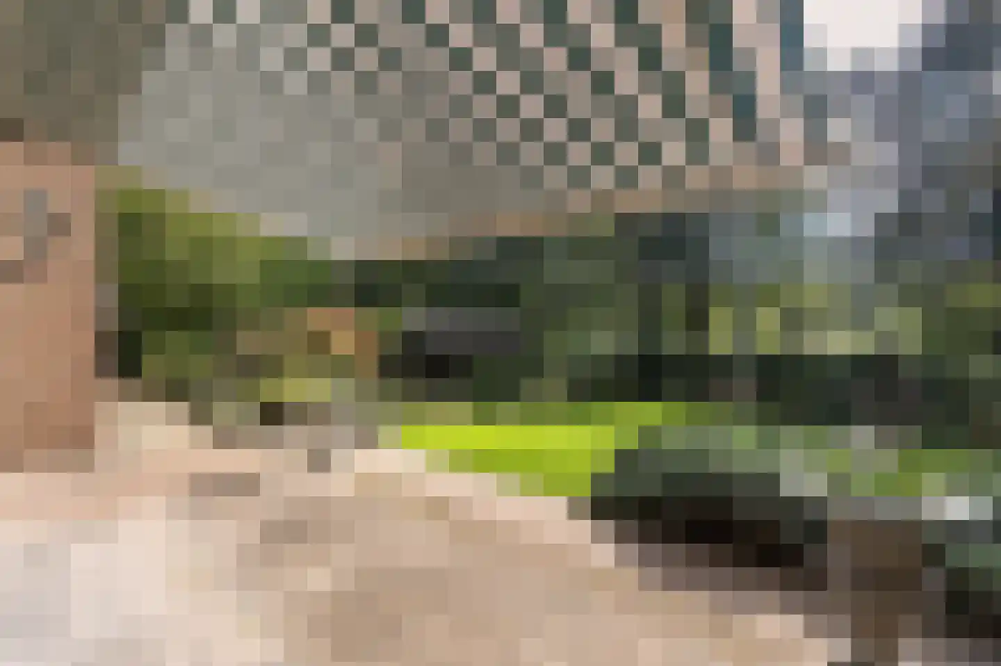 Bosweg 17 Berg en Dal thumbnail 64