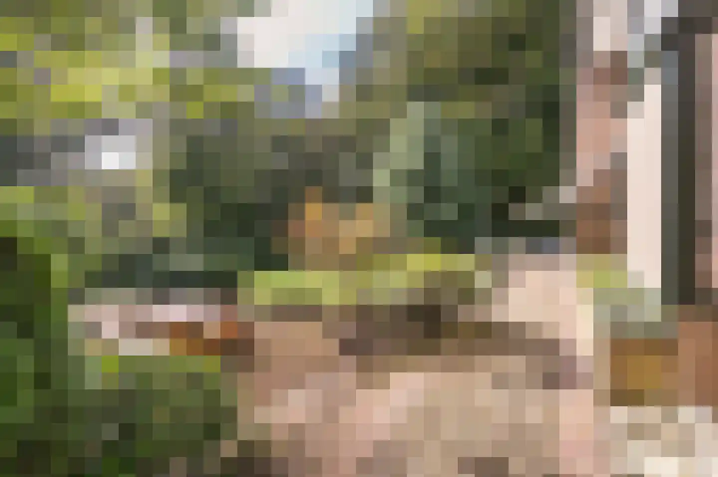 Bosweg 17 Berg en Dal thumbnail 65