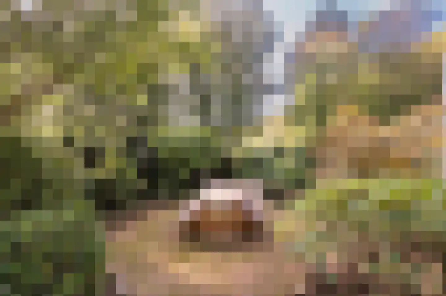 Bosweg 17 Berg en Dal thumbnail 66