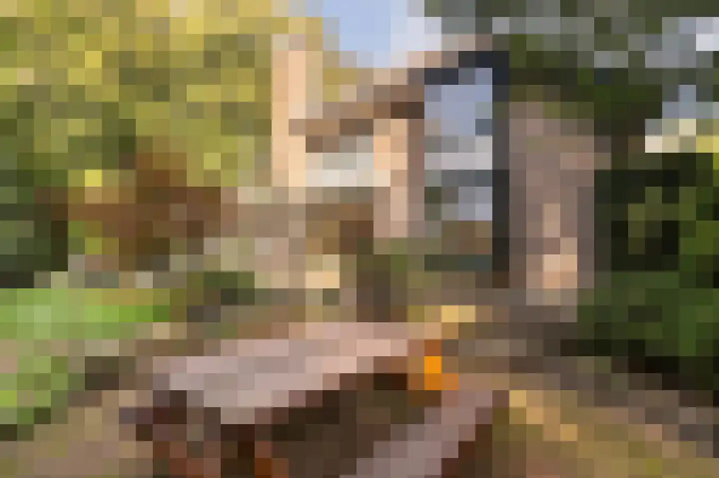 Bosweg 17 Berg en Dal thumbnail 67