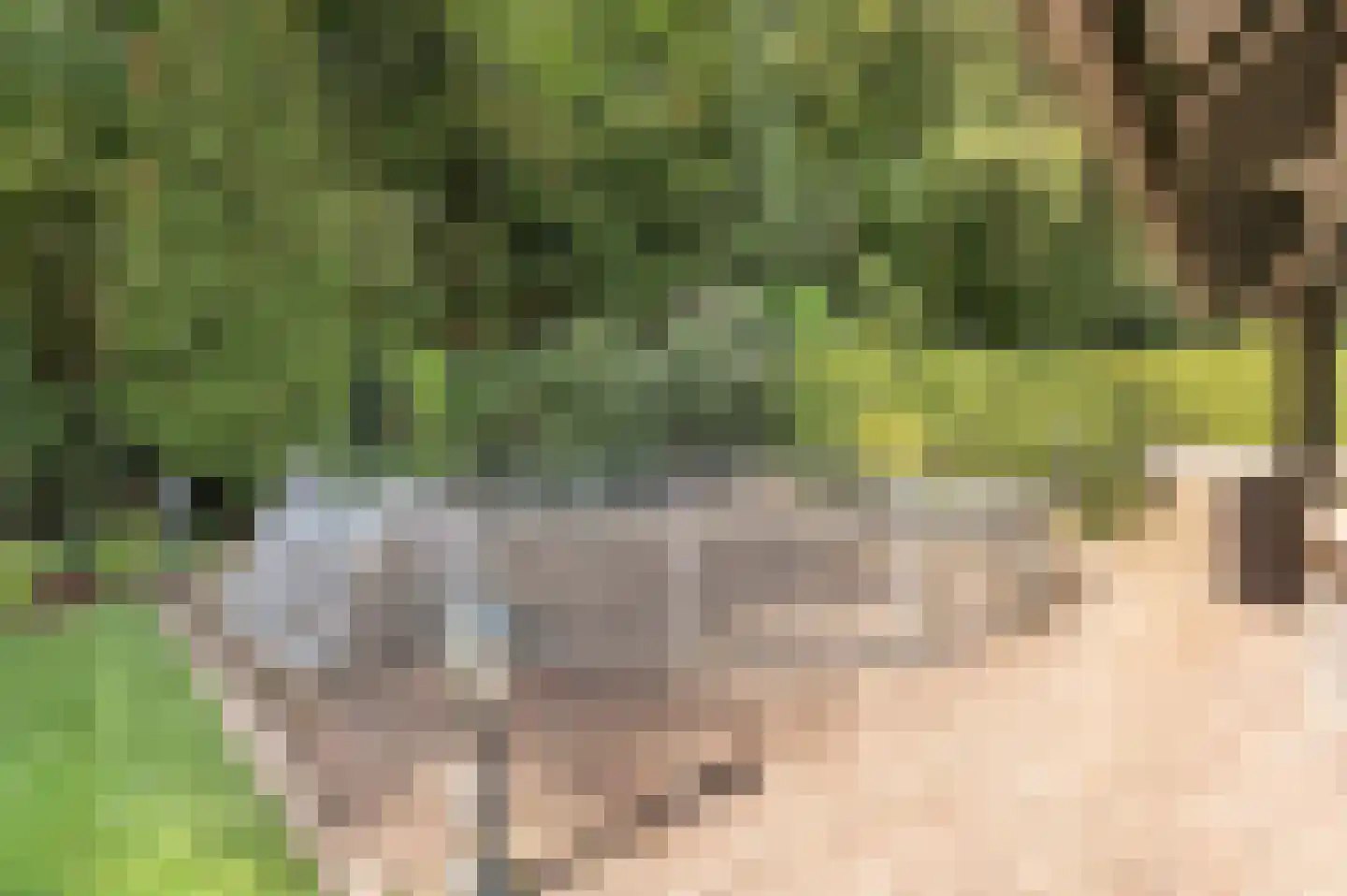 Bosweg 17 Berg en Dal thumbnail 69
