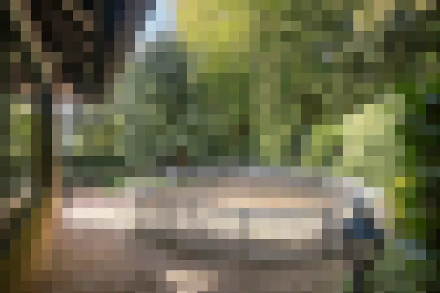 Bosweg 17 Berg en Dal thumbnail 70
