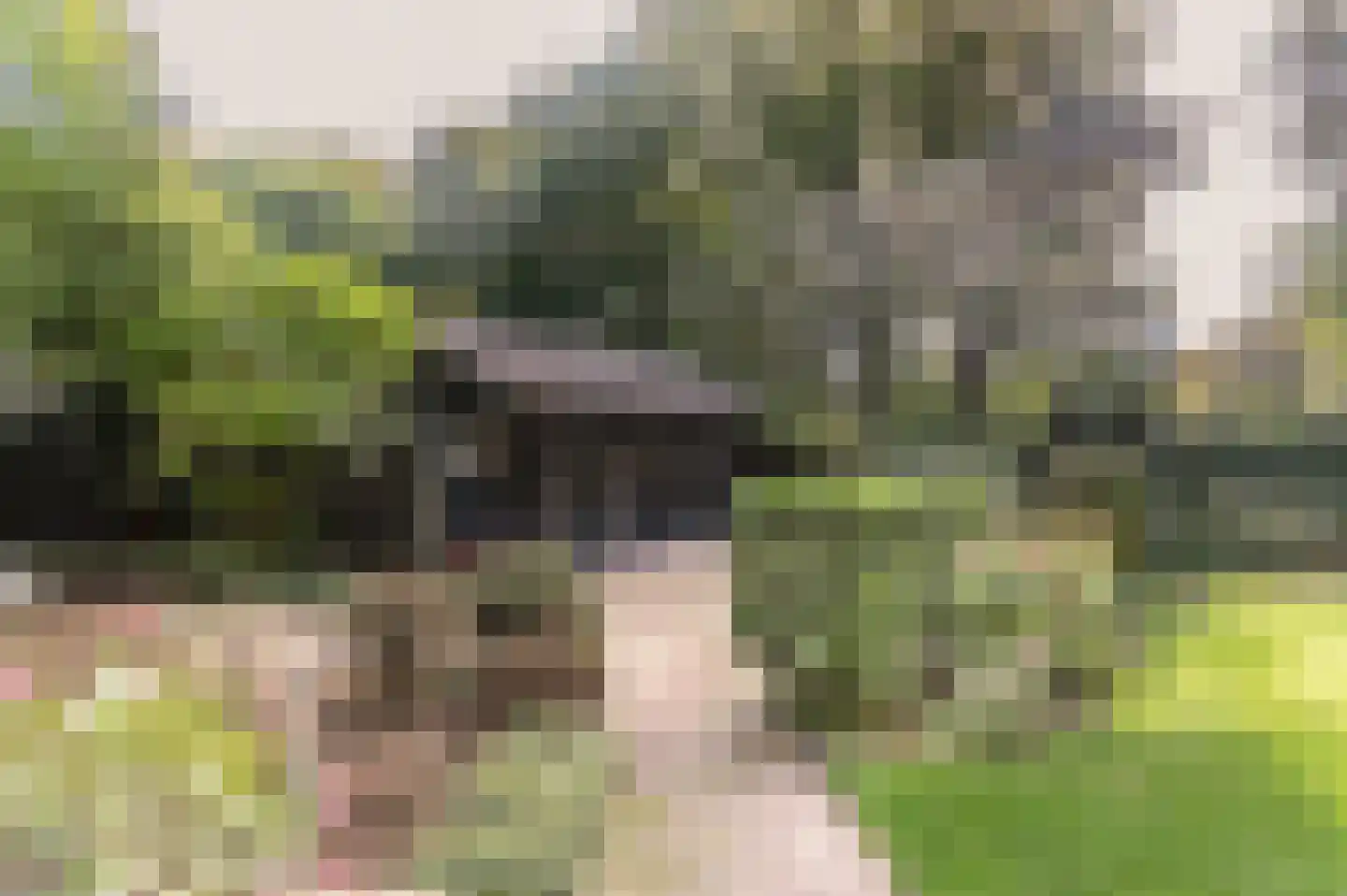 Bosweg 17 Berg en Dal thumbnail 72