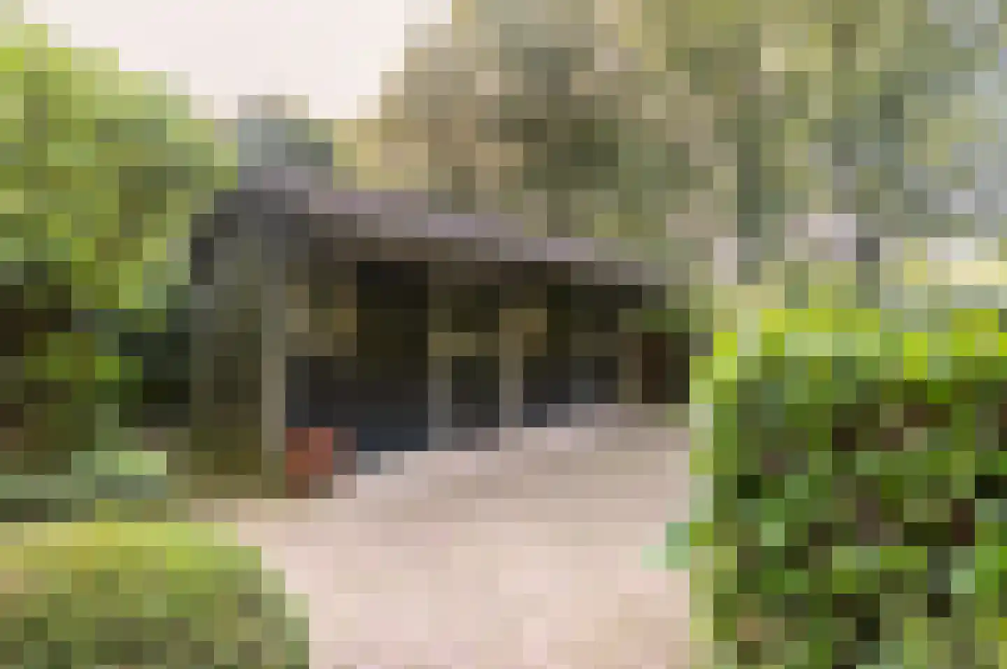 Bosweg 17 Berg en Dal thumbnail 73