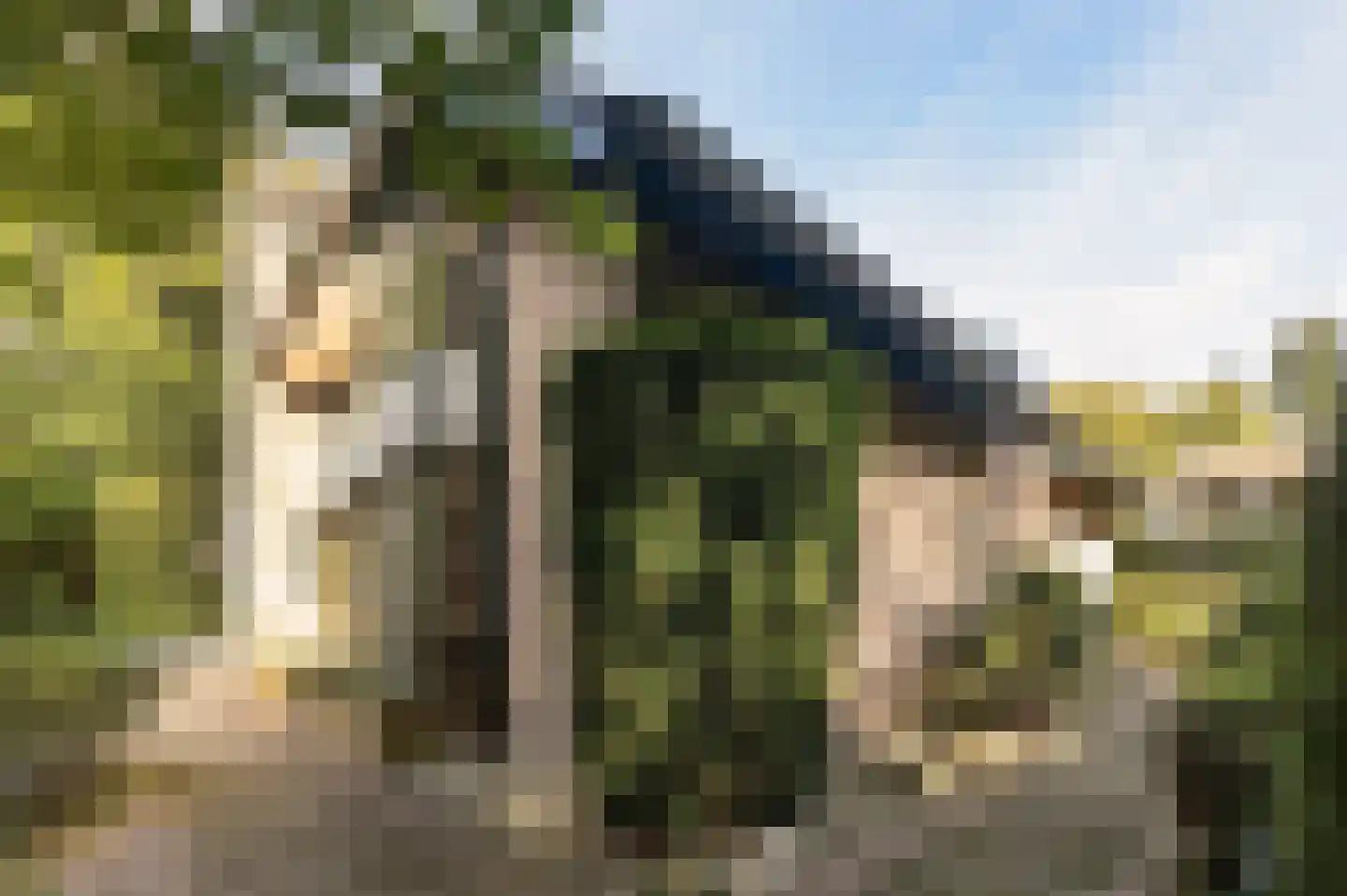 Bosweg 17 Berg en Dal thumbnail 74