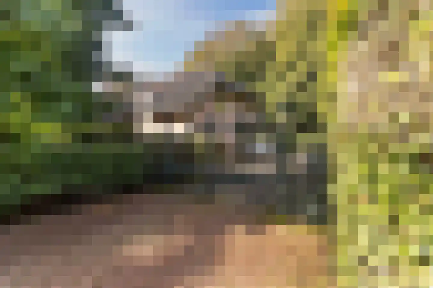 Bosweg 17 Berg en Dal thumbnail 75