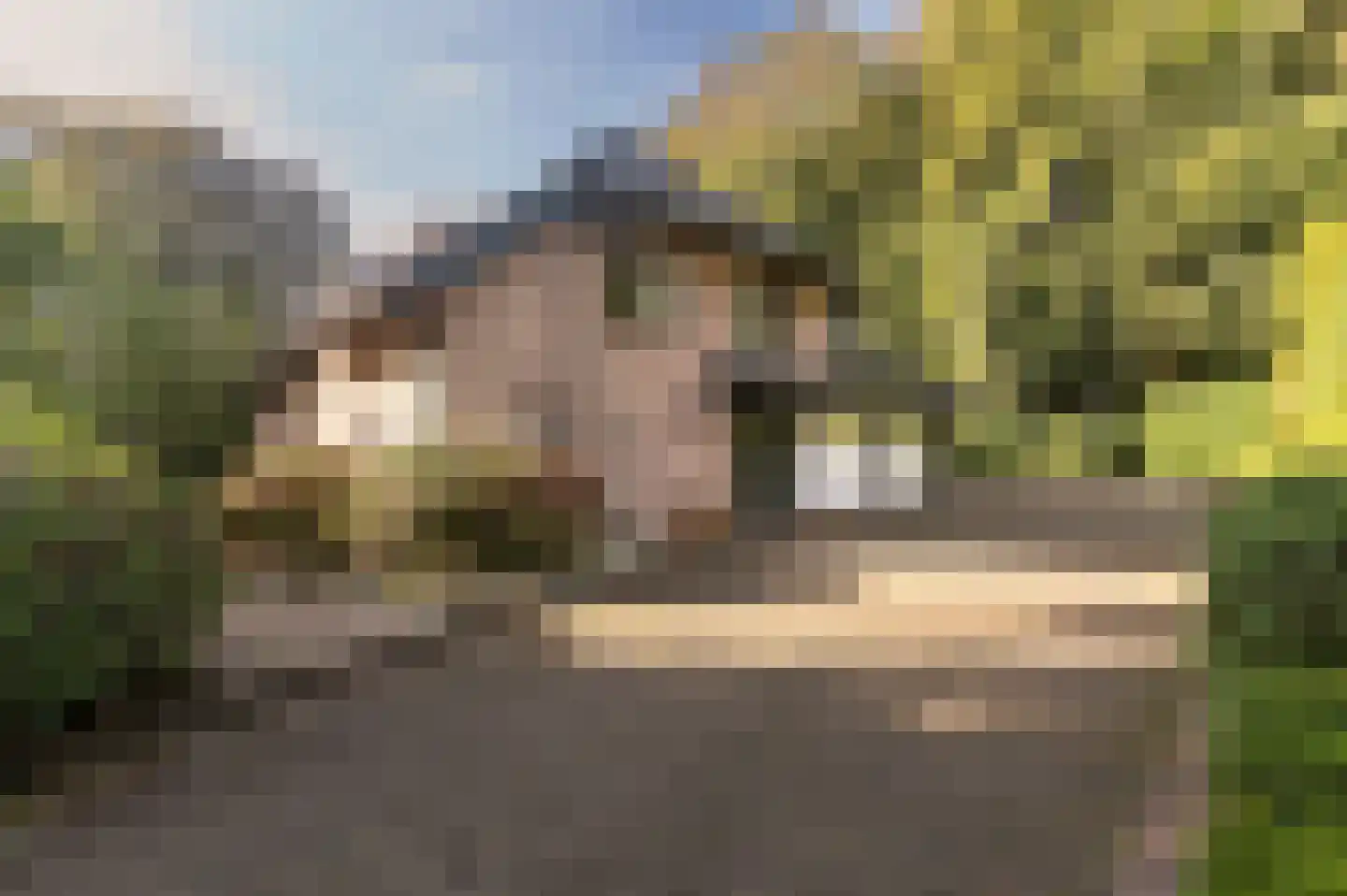 Bosweg 17 Berg en Dal thumbnail 76
