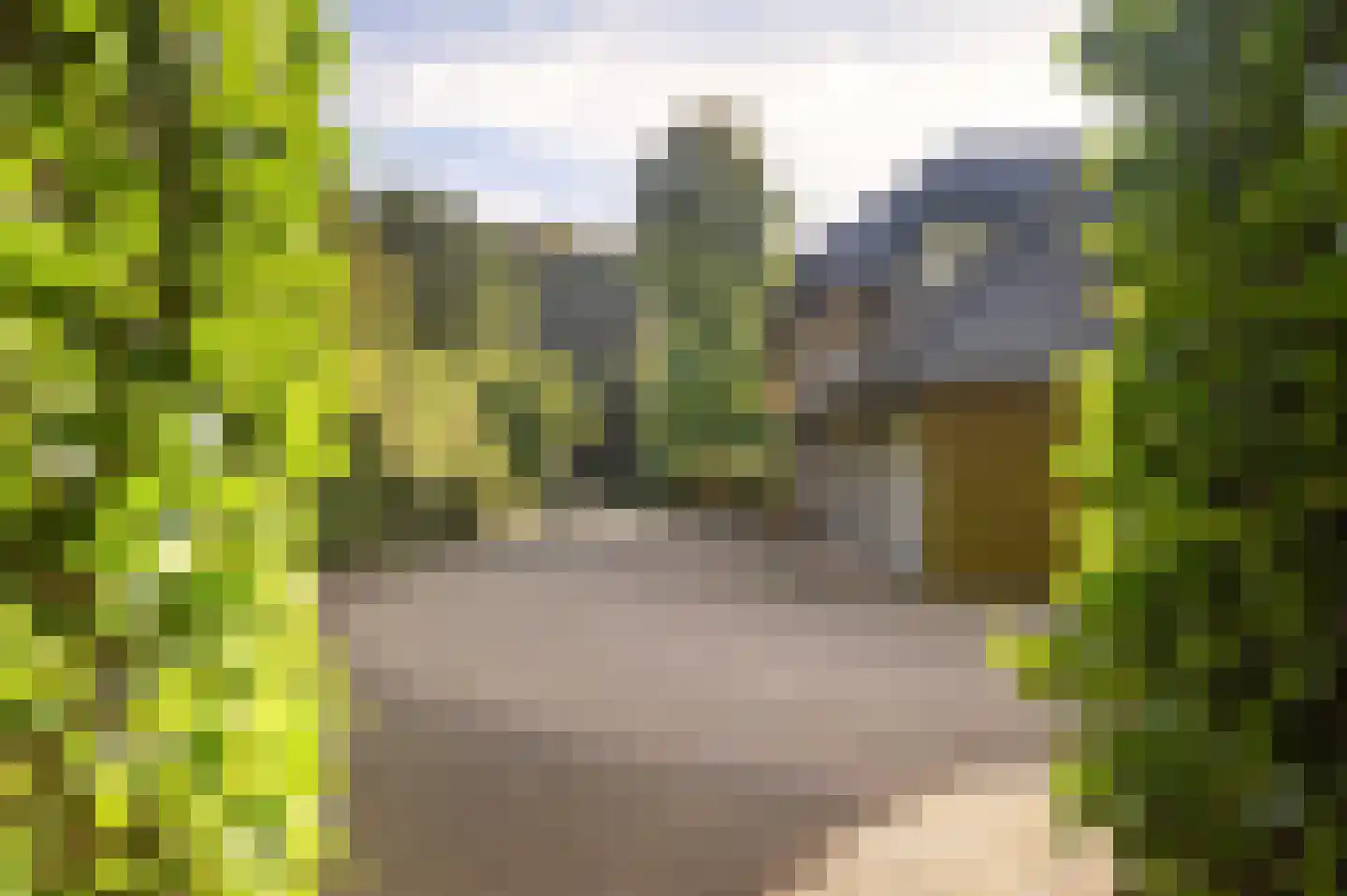 Bosweg 17 Berg en Dal thumbnail 79