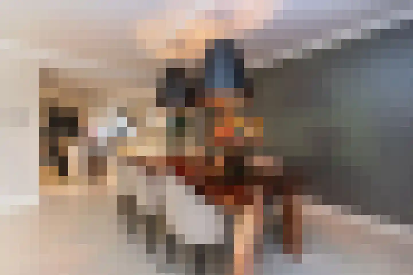 Bosweg 17 Berg en Dal thumbnail 8