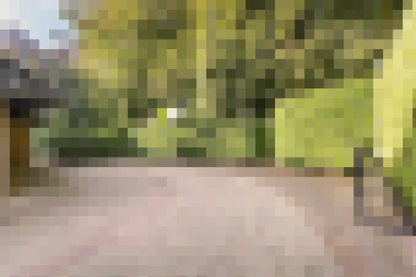 Bosweg 17 Berg en Dal thumbnail 80