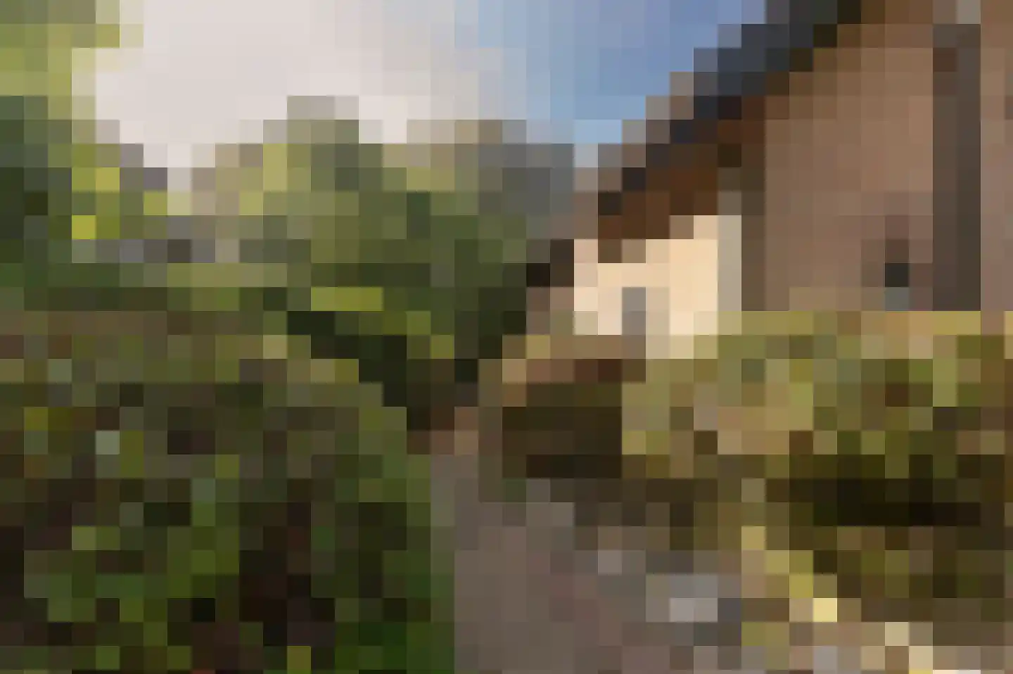 Bosweg 17 Berg en Dal thumbnail 82